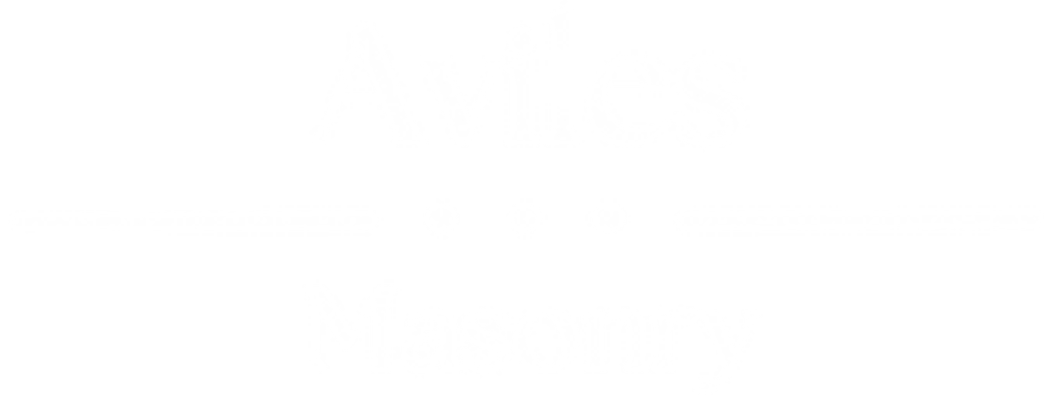 Aviles Masonry